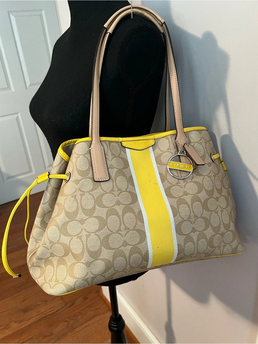 Coach Signature Stripe Drawstring Carryall Leather Shoulder Bag